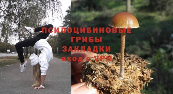 тгк Волосово