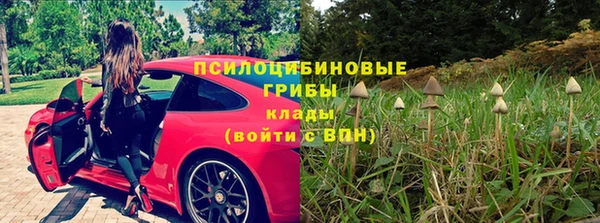 мяу мяу мука Волоколамск