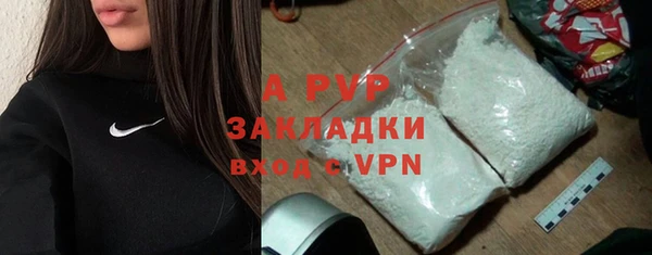 ГАЛЛЮЦИНОГЕННЫЕ ГРИБЫ Верея