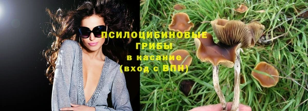 тгк Волосово