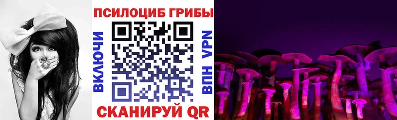 нарко площадка клад  Александровское  Псилоцибиновые грибы Cubensis 